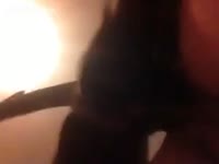 Hot dog porno with amateur slut